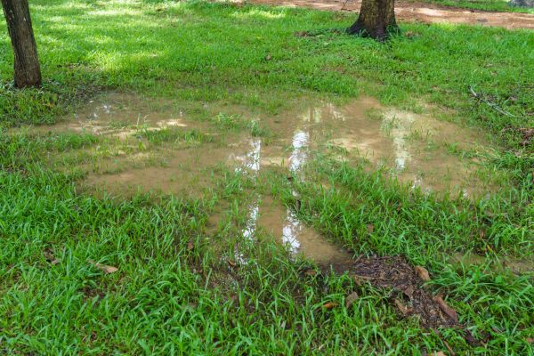 Storm Water Drainage Service in Hilliard