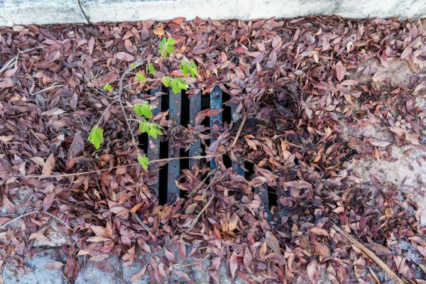 Yard Drain Unclogging in Hilliard