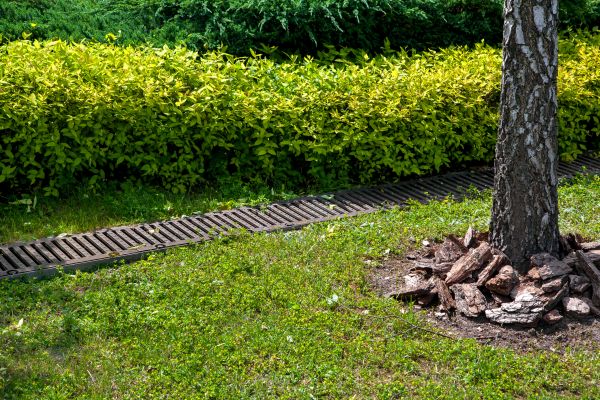 Residential Landscape Drainage in Hilliard