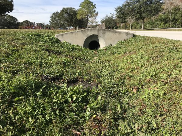 Cost of Swale Drainage Service in Hilliard
